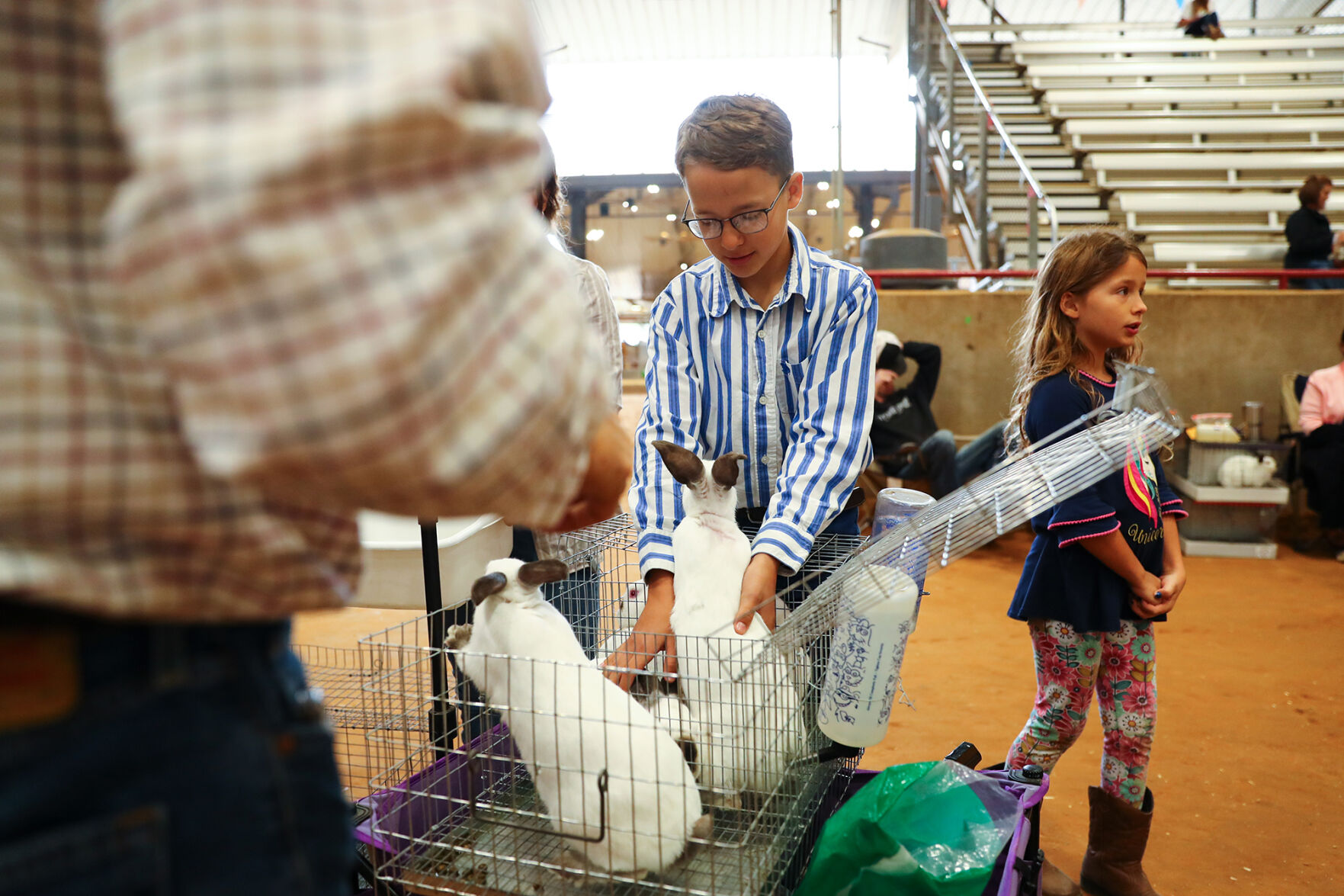 Brazos Valley Youth Livestock Show